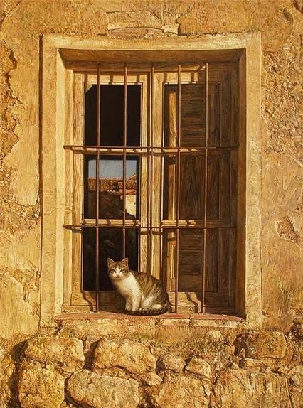 你站在窗外看风景,看风景的猫在窗外看你