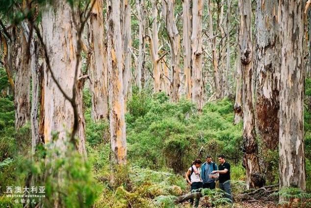 2020年最大的心愿