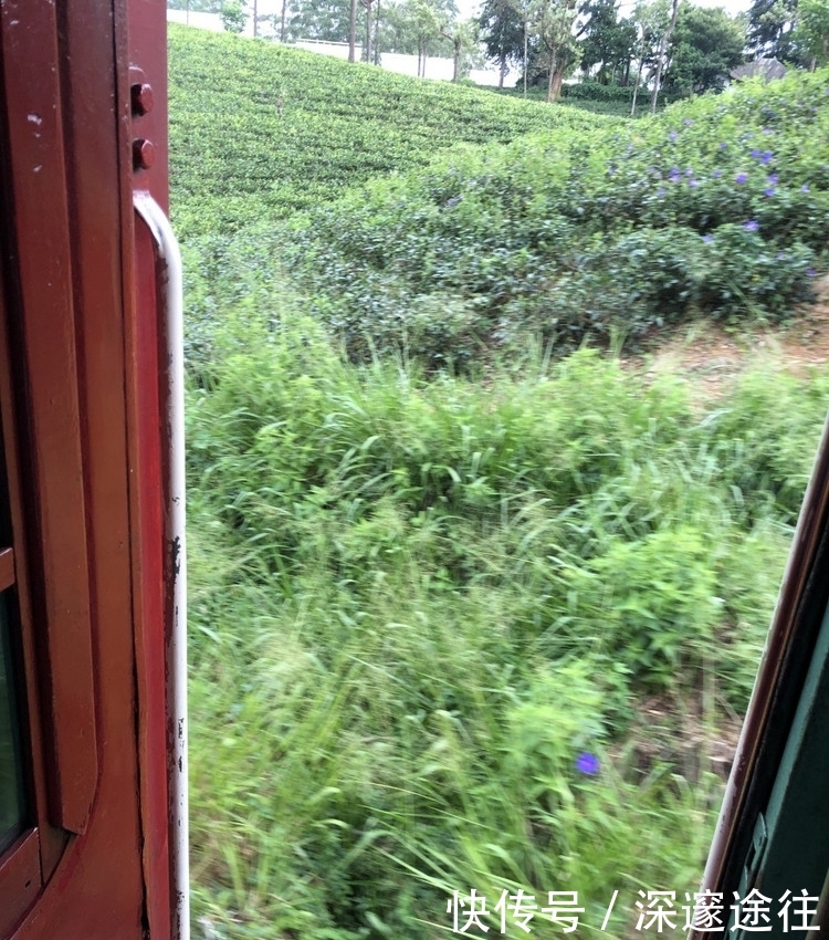 亚洲这个国家的火车都没有门，中国游客：从来没见过这样的火车