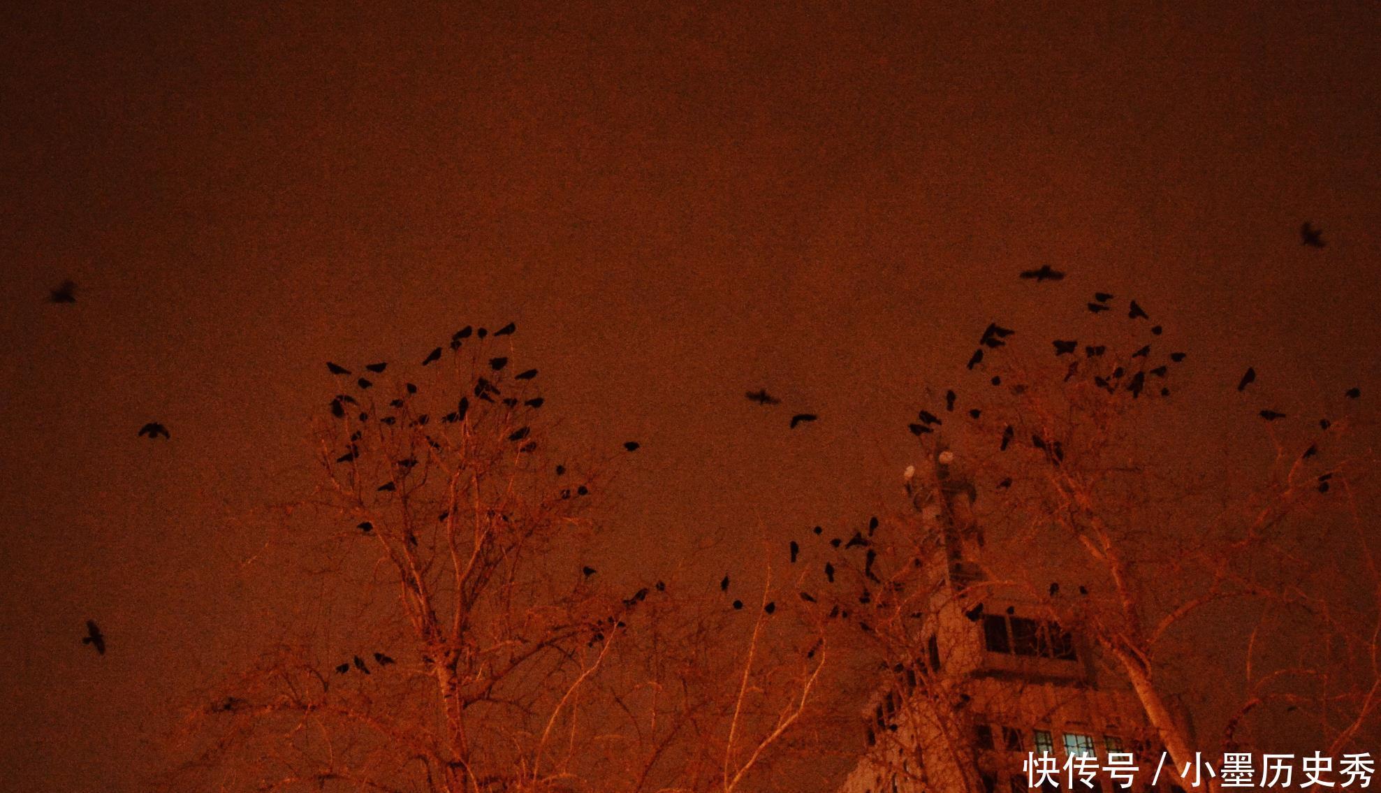 这里曾是清代公主墓地，现在是北京著名商业区，每到晚上乌鸦成群