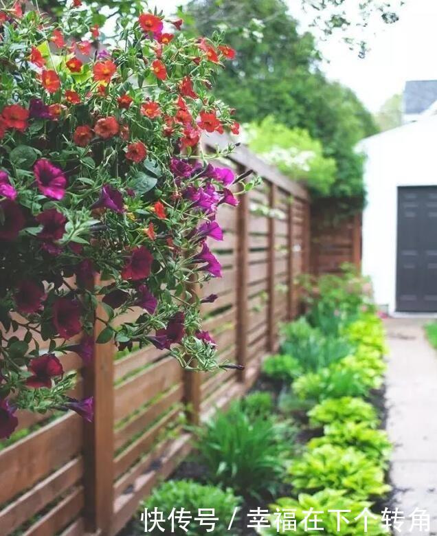  「快乐」篱笆小院住在乡村的快乐，你想体验吗！