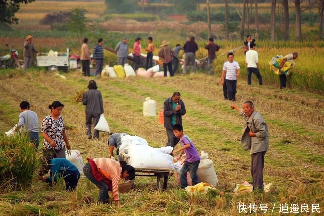  农村：农村“合村并镇”正式实行？或迎来大范围拆迁？这4类人成