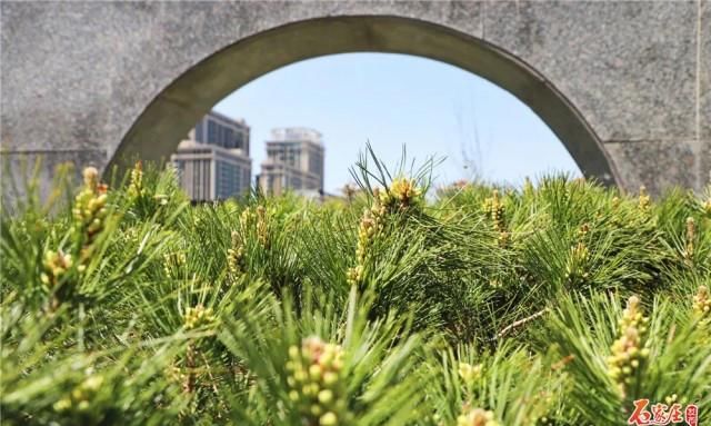 开放:五一期间,石家庄市中心这座新公园将正式开放!地铁可直达