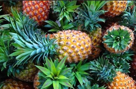  水果：你真的认识凤梨和菠萝？别装了，强力科普在这里！