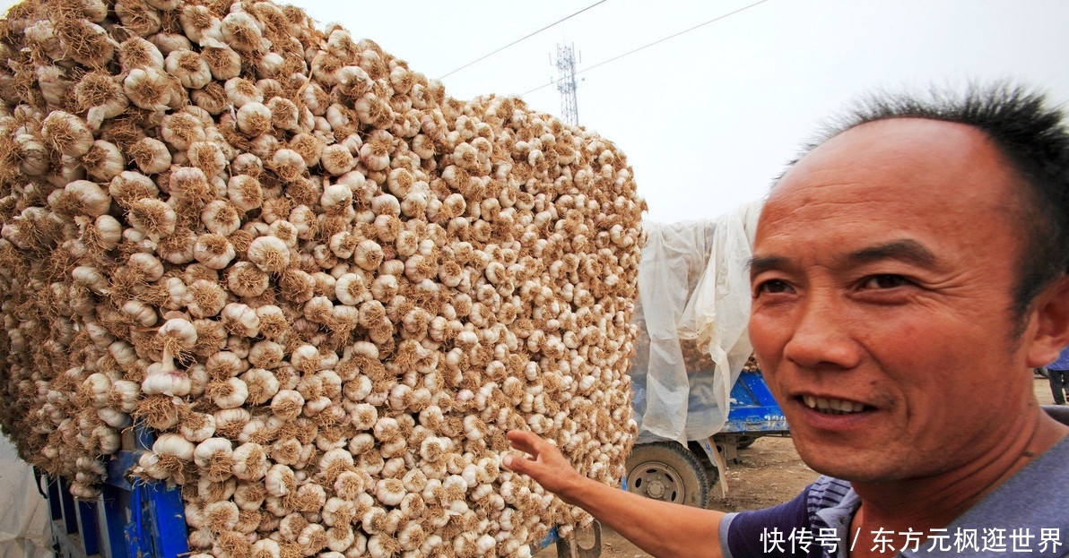  【农产品】这边菜烂在地里，卖不出去，那边城里人说菜太贵吃不