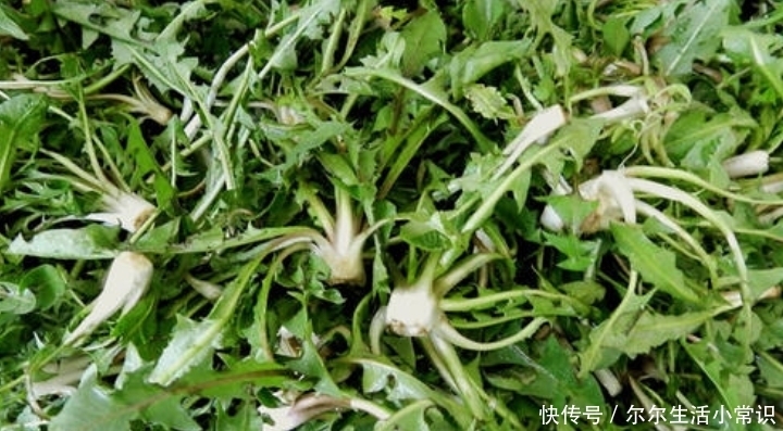  收益：农村这4个创业项目，投资小收益大，农民朋友不妨考虑一下