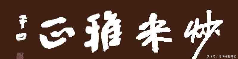 千年王八万年龟，下半句是什么这两句说的是什么意思