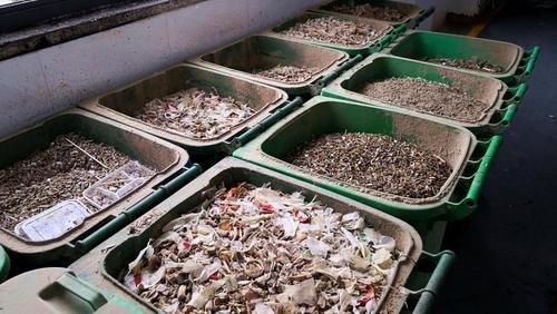 鸡骨头是湿垃圾，多久可降解？记者“堆肥”48小时后，看到的竟是