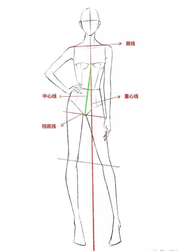  [模特的身]全新-160个服装人体动态【线稿】素材分享！（独家珍藏版）