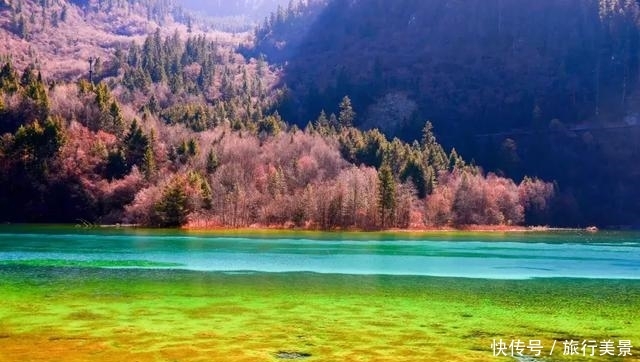 重磅消息！九寨沟国庆华丽回归！沉寂两年又将惊艳世人！