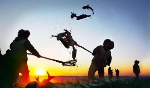 查干湖冬捕，头鱼比黄金都贵！差一块，100万！网友震惊