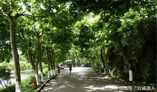  「重庆」四川乐至县，位于成都重庆之间，是陈毅元帅故乡