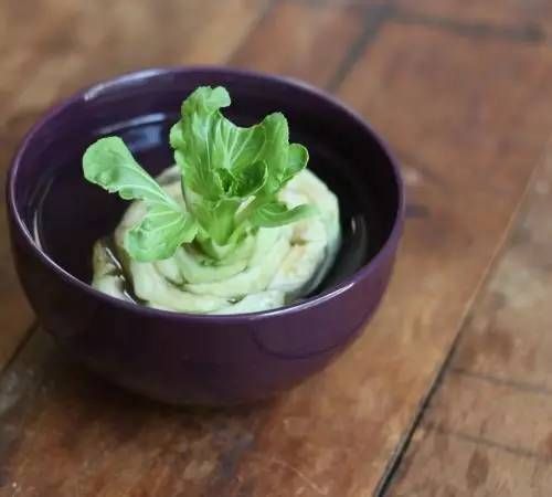  『蔬菜』买一次菜，就能得到无限生长的盆栽蔬菜