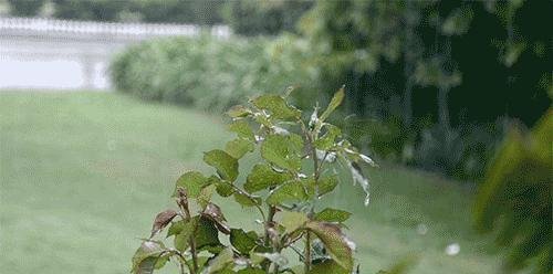 号外！河南明天起要连下三天，今夜先在这8地区投放“大暴雨”