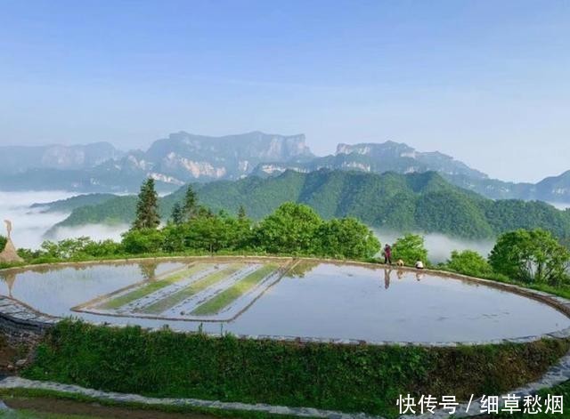 湖南的“空中田园”，建在千米山顶之上，四周都是万丈深渊