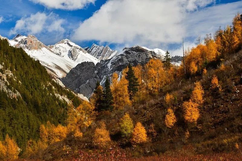 追寻传说中的七藏沟，将满眼秋色尽收眼底