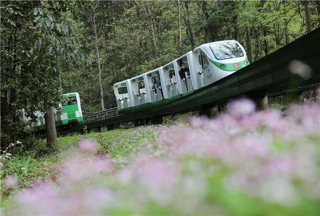  『武陵源』张家界：景区门票“买一送一”提振旅游市场人气，清明游客量有所增长