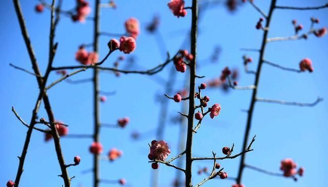  草原■「原创散文」三月的雪