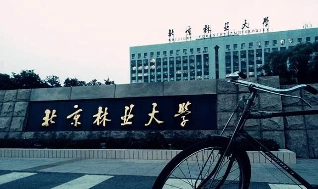 填志愿:36所“211”大学非常牛!非985大学中最好的! - 行者 - wangkeqin 的博客 填志愿:36所“211”大学非常牛!非985大学中最好的! - 行者 - wangkeqin 的博客