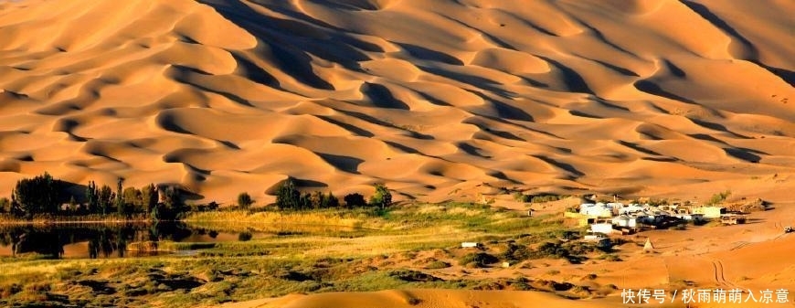 了不起! 中国治沙人 每天喝掉十几斤水, 治沙成就让世界都叹服