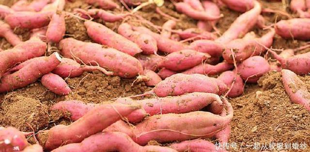 【国家】中国为什么是人口最多的国家，如此众多的人口是如何形成的！