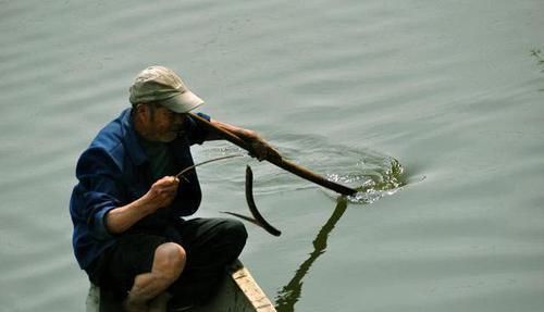  「更肥」为什么河岸边石头缝里钓到的黄鳝更肥更大？老头给了我答案
