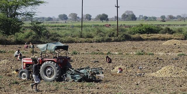 印度粮食产量仅中国一半，为何能养活同等人口，还大量出口