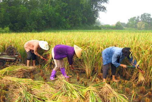  道理@俗语“有钱不买半年闲”是啥道理？老祖宗的话还是要听！
