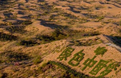 中国耗费30年将沙漠变绿洲，如今变成这样，治沙人：心痛