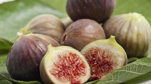  扦插■若是有院、有阳台，2种水果可'扦插'，第二年就能开花结果