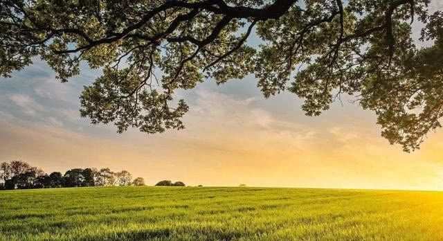 三十年以后的农村会是什么样子的？听听专家怎么说！