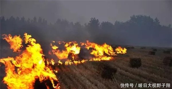  「秸秆」本月起，以下两件事农民最好别做，已经有人惹祸，大家