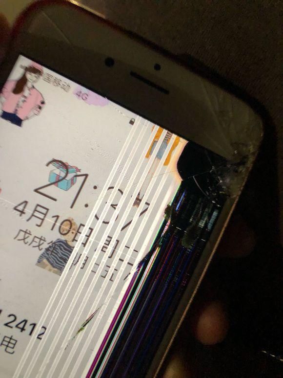 古牧咬坏手机后,害怕主人惩罚,还伪造了案发现