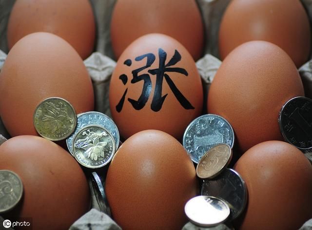 7月19日蛋价稳中上涨，上海山东河南领涨，蛋价这波能飞多高？