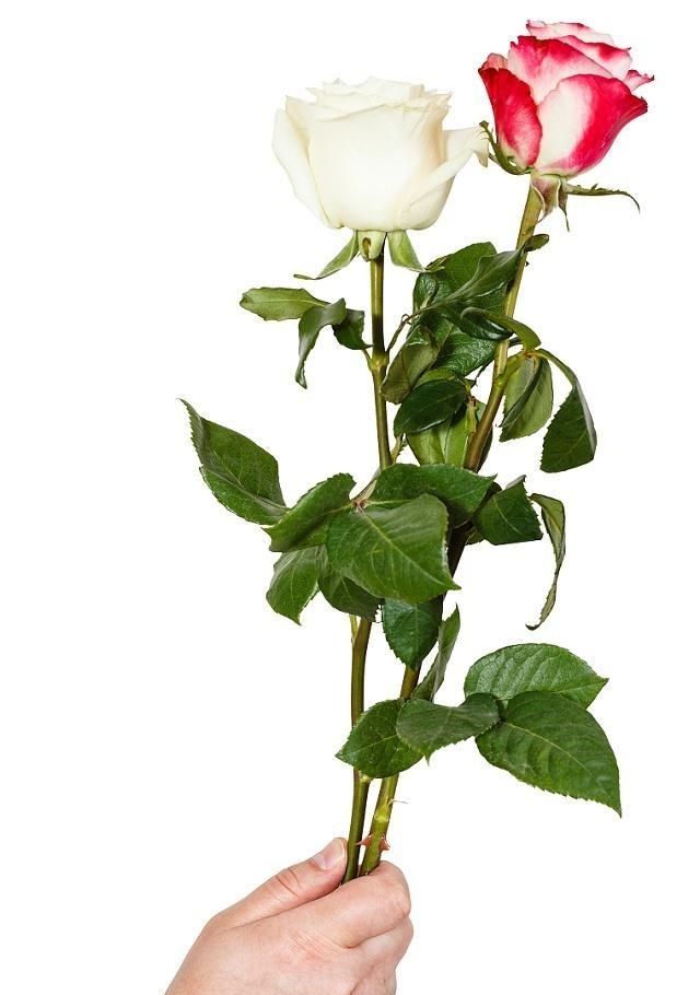 悲哀的摄影师与流氓摄影人