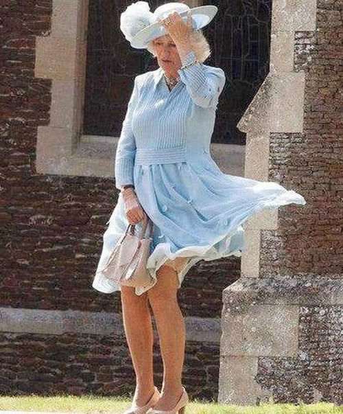 同样是被风掀起裙子，戴安娜的表现就很淡定，而卡米拉却显得很滑