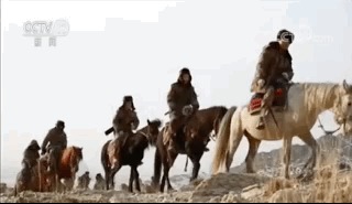 为国守边疆 全国唯一在编民兵骑兵队帅哭网友