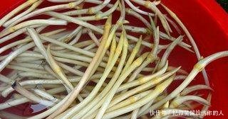 农村老汉种藕不卖藕，照样年入20万，养鸡户羡慕不已