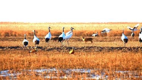  「暗藏」全国这3座三线城市暗藏实力，未来发展不可限量，有你家