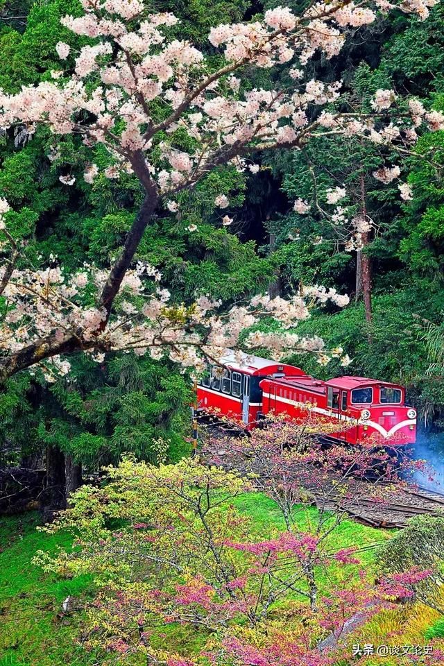 春天最美的十二个地方，你最想去哪个？