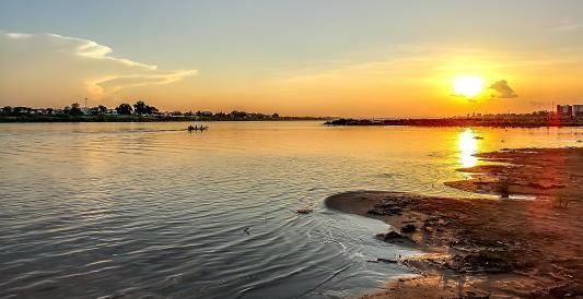 越南大虾在湄公河“泛滥”:一只虾巴掌大,中国吃货们敢下嘴吗?