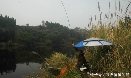 「天气」这里的鱼不仅多, 而且傻, 钓鱼拉得手抽筋