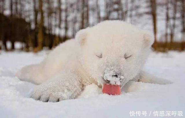 罕见！乌鲁木齐下黄雪这是来自大自然的警告！