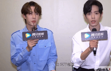 肖战王一博问题