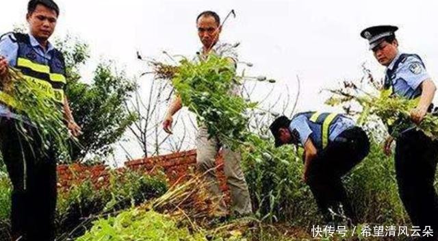 中国最特殊的农民，武警24小时持枪保护，只因种的东西太重要