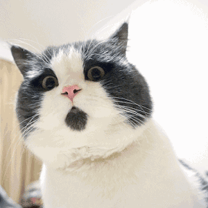 当心！多国出现大量假货，专坑中国人，转发别让更多人上当！