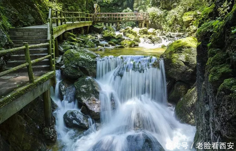 牛背梁 秋色迷人 你来与不来 它都是这么五彩斑斓