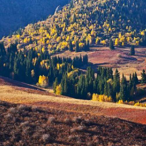 新疆有一个地方，回归时间比香港晚，被称为“中国最后一片净土”