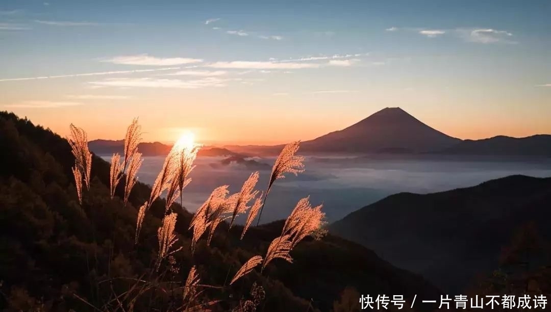 在日本，拍摄一座山也能成为专家