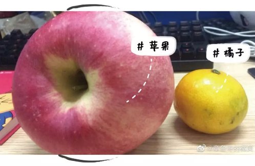  山东的蔬：浩克山东丨山东“巨型食物”之谜